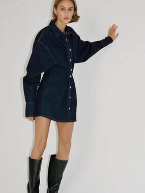 Zara Denim Dress